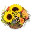 Flower arrangement 'Sunny Kiss' Online