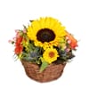 Flower arrangement 'Sunny Kiss' Online