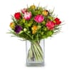 Flower bouquet Colorful Tulip Dream Online