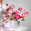 Gift Frosted Fuchsia