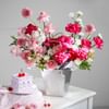 Frosted Fuchsia Online