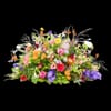 Funeral - Colour splendor Online