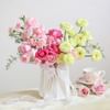 Garden of Grace Online