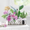 Gift Garden of New Beginnings