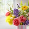 Gift Garden of Paradise