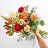 Garden party Online