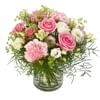 Gentle moments Online