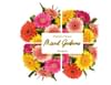 Gerbera Online