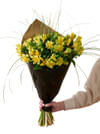Gorgeous Yellow 240137 Online