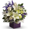 Graceful Beauty - Flower Arrangement Online