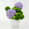 Buy Green Harmony Floral Arrangement