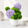 Green Harmony Floral Arrangement