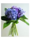 Hand Tied Online