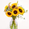 Happy Summer Greetings Online