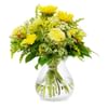 Harmony In Yellow Online