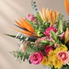 Buy Hawaiian Sunrise