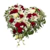 Heart of Tears Online