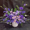 Hermes - Purple offline Online