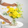 Gift Honeydrop Petals