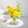 Buy Honeydrop Petals