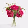 Hydrangea Delight Online