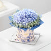 Gift Hydrangea Dreams & Dior Perfume Combo