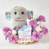 Gift IGP x Seba Med Baby Care Hamper