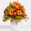 Indian Summer Vibes Online