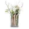 Indoor plant 'Lifestyle' orchid in vase Online