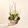 Jardin d'hiver Online