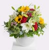 Late Summer Splendor Online