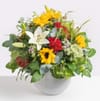Late Summer Splendor Online