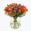 Lets Celebrate 242608 Online