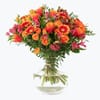 Lets Celebrate 242609 Online