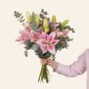 Lilies and chocolates - Nos magnifiques lys et chocolats Online