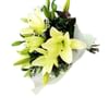Lily Bunch Online