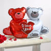 Buy Love Bears All