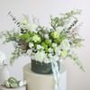 Meadow in a Box Online