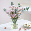 Gift Meadow Treats