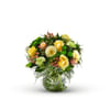 Melodie Online