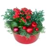 Memory of Christmas Online