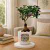 Microcarpa Bonsai Plant with Plate