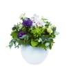 Miraculous Power of Flowers Online