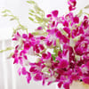 Shop Mother's Day Purple Orchid Elegance