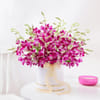 Mother's Day Purple Orchid Elegance