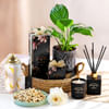 Nature's Euphoria Online