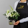 Neutral Florist Choice Posy in Jar Online