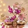 Gift Orchid Opulence