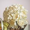 Shop Ornate Opulence