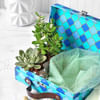 Gift Pandora Box Hamper